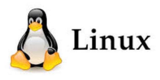 Proxmox VE e Backup Server: virtualizzazione, backup incrementali e alta affidabilità per la rete aziendale
