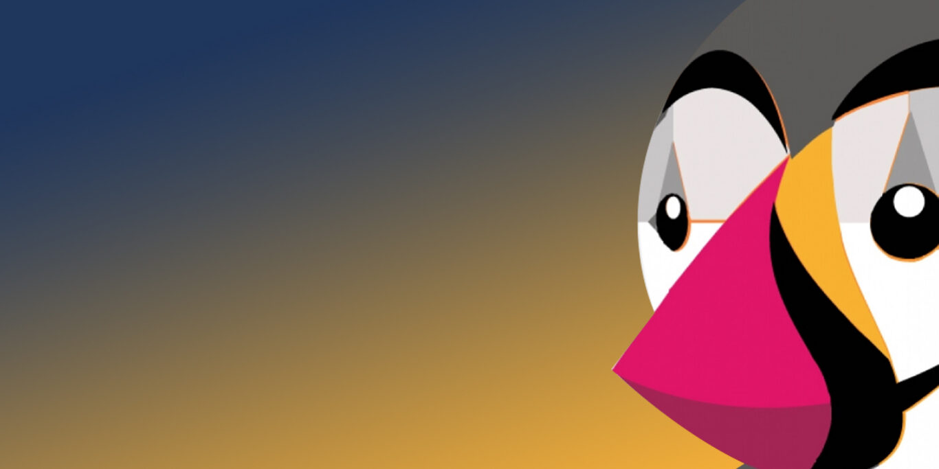 distribuzione-informatica-partner-prestashop Migrazione PrestaShop da 1.6 a 8.x: upgrade e-commerce senza downtime